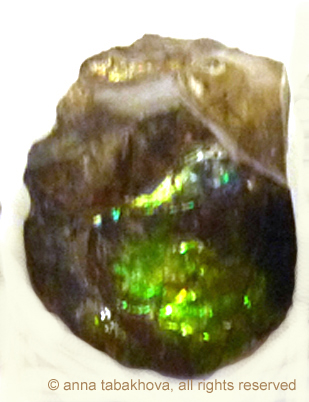 ammolite-1-anna-tabakhova-P1110603 copyrigh